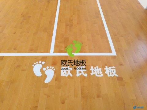 龍口藍(lán)羽俱樂部運(yùn)動木地板多少錢一平